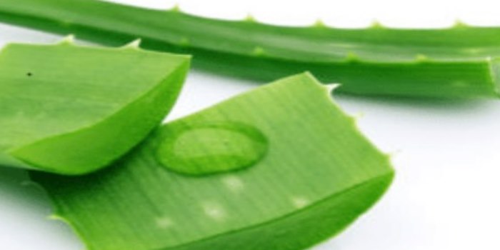 Top 5 Ways To Use Aloe Vera For Weight Loss
