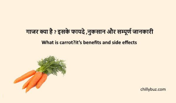 Carrot in hindi : गाजर क्या है ? इसके फायदे ,नुकसान और सम्पूर्ण जानकारी