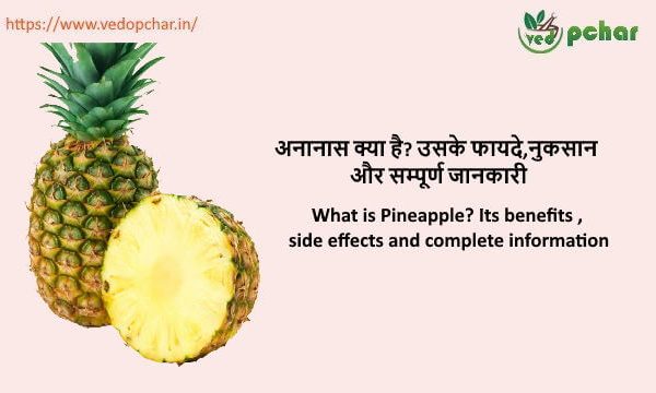 Pineapple in hindi : अनानास क्या है? उसके फायदे,नुकसान और सम्पूर्ण जानकारी