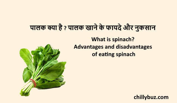 Spinach in hindi