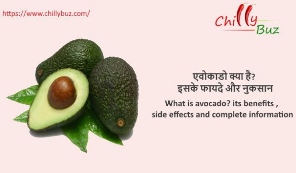 Avocado in hindi : एवोकाडो क्या है? इसके फायदे और नुकसान